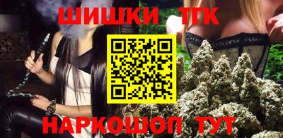 индика Тулун